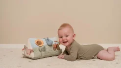 Activiteitendriehoek Little Farm