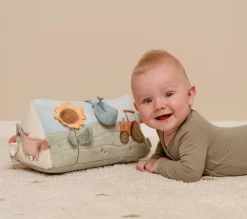 Activiteitendriehoek Little Farm