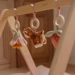 Babygym - Roze - Fairy Garden