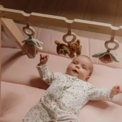 Babygym - Roze - Fairy Garden