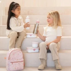 Bento Lunchbox groot Fairy Wonders