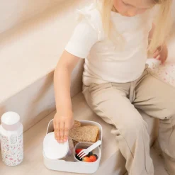 Bento Lunchbox groot Fairy Wonders