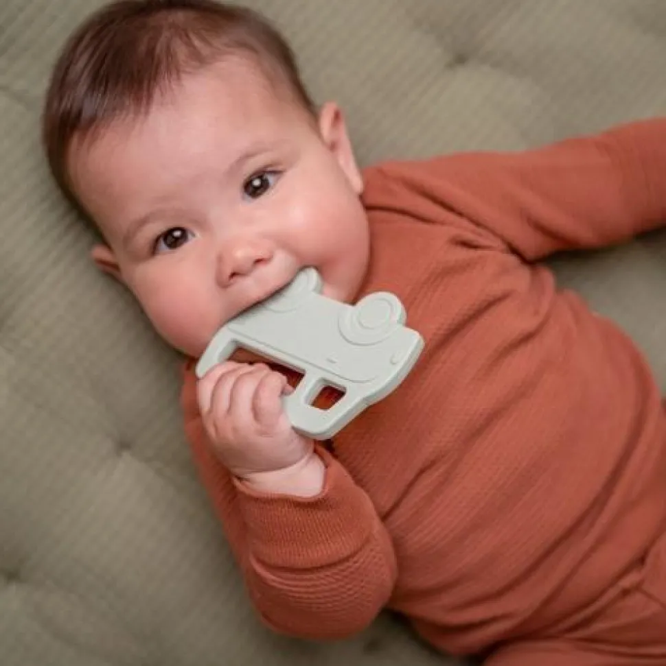 Bijtring - Meerkleurig - Essentials