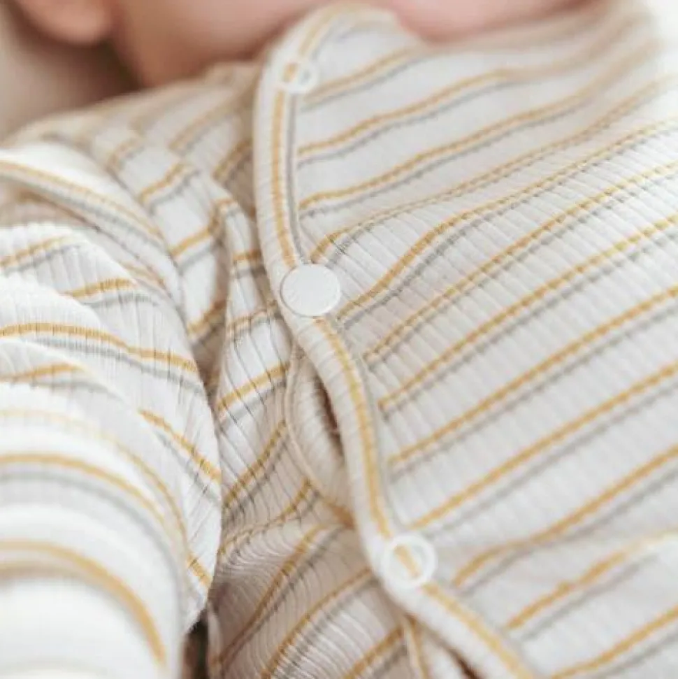 Boxpakje - Meerkleurig - Little Farm - Streep