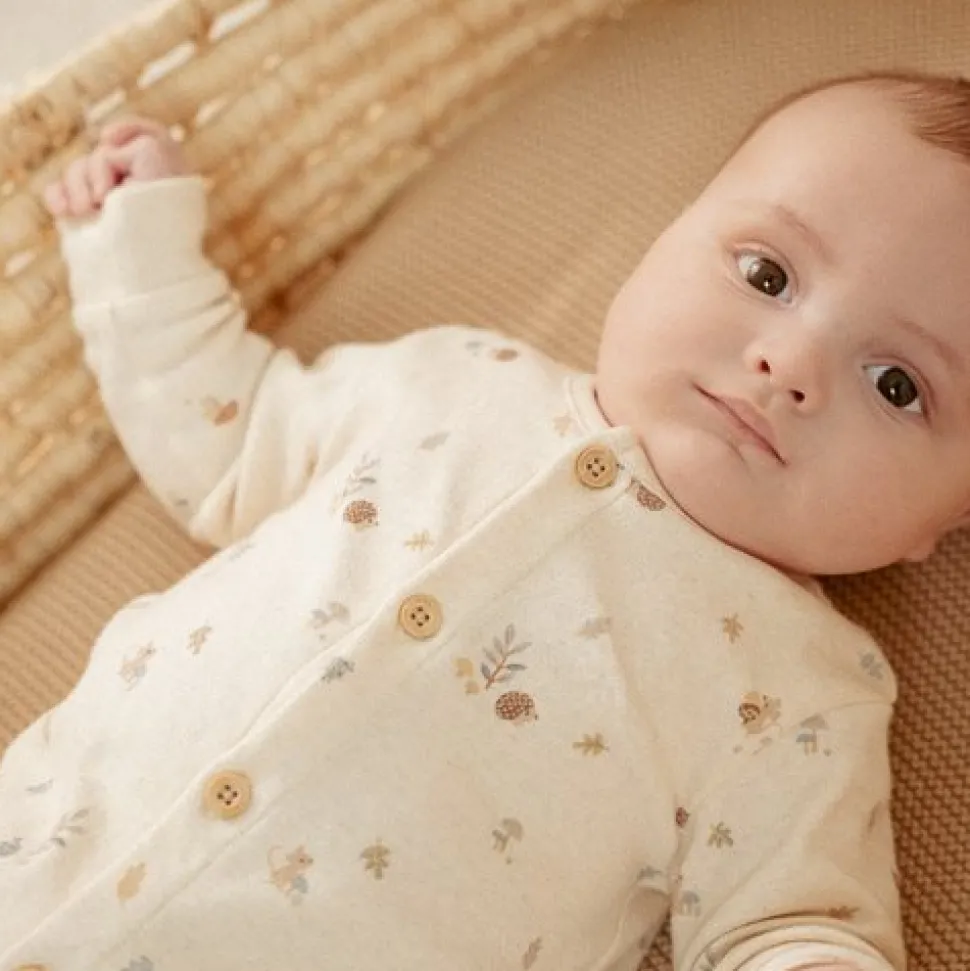 Boxpakje - Zand - Forest Friends