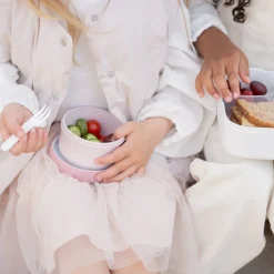 Fruitbox Campus 300 ml Fairy Garden