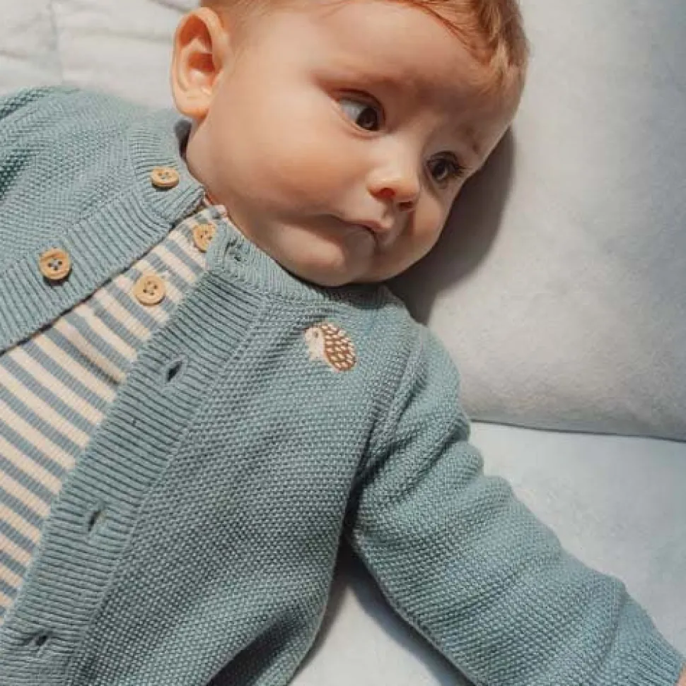 Gebreid vestje - Blauw - Forest Friends