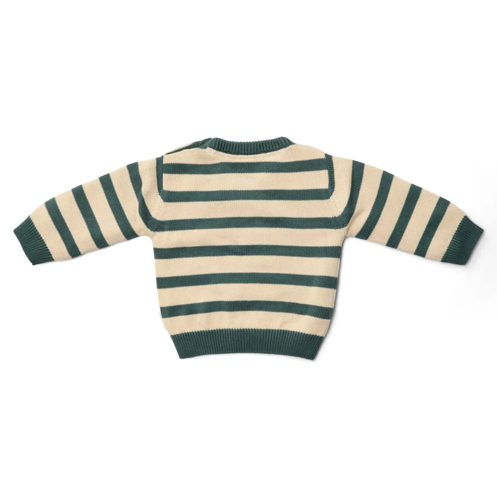 Gebreide trui - Groen - Forest Friends - Stripe