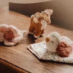 Giftset - Roze - Fairy Garden