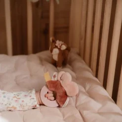 Giftset - Roze - Fairy Garden