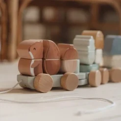 Houten Blokkentrein - Blauw - Forest Friends