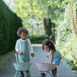 Kruiwagen - Roze - Fairy Garden