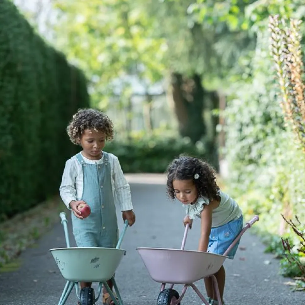 Kruiwagen - Roze - Fairy Garden