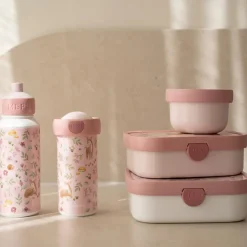 Lunchbox Fairy Garden