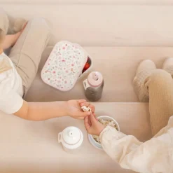 Lunchbox Fairy Wonders