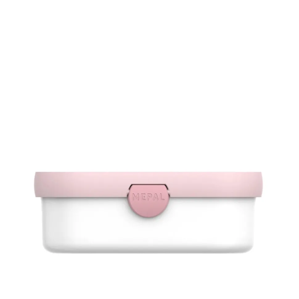 Lunchbox Fairy Wonders