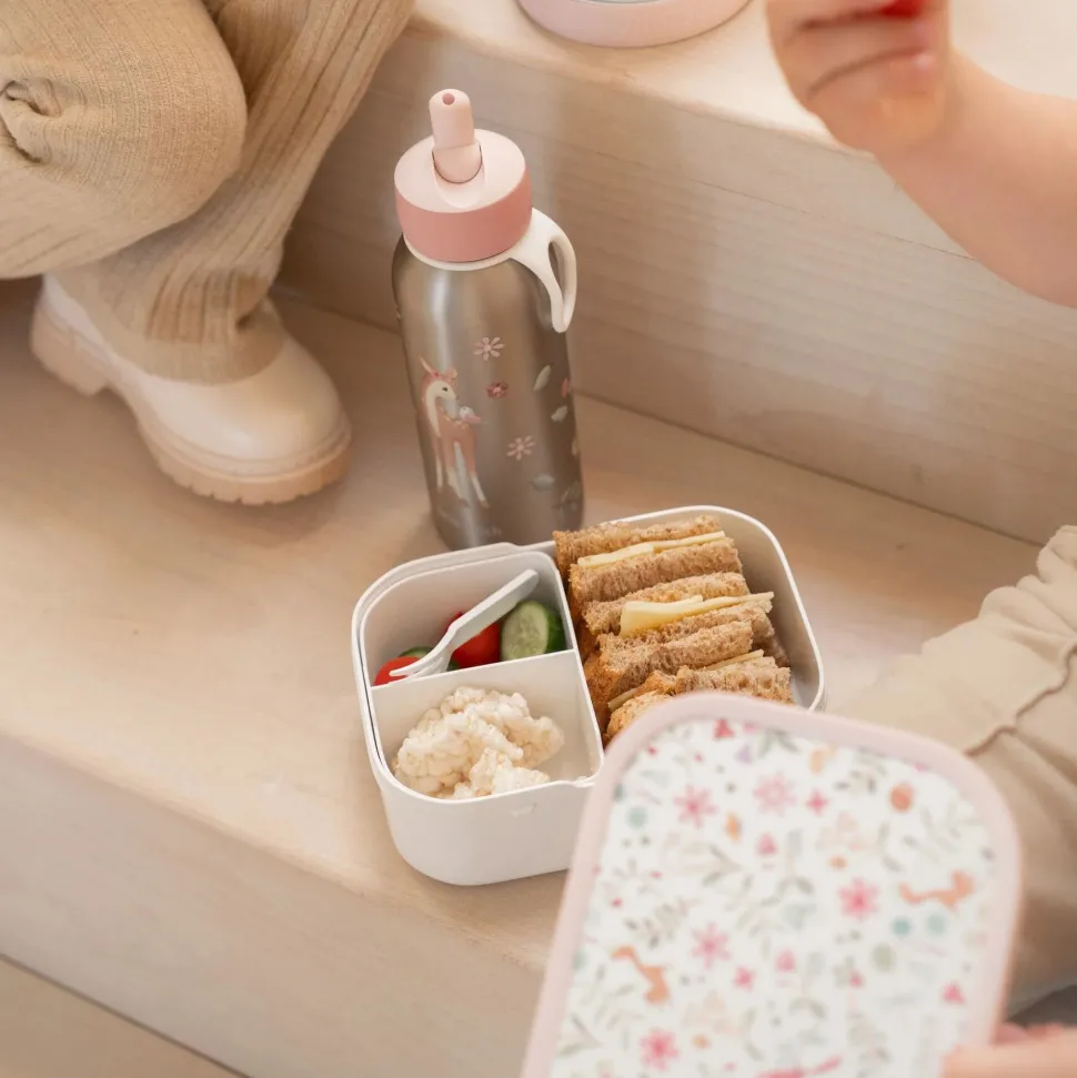 Lunchbox Fairy Wonders