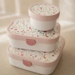 Lunchbox Fairy Wonders