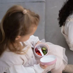 Lunchset Fairy Garden