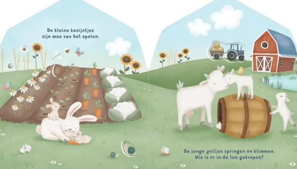 Mijn doorkijkboek - Boerderij - NL