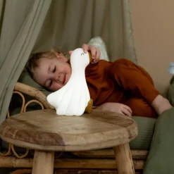 Nachtlampje Little Goose