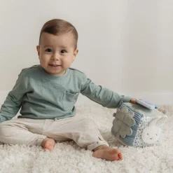 nijntje activiteitenkubus - Blauw - Lucky Leaves