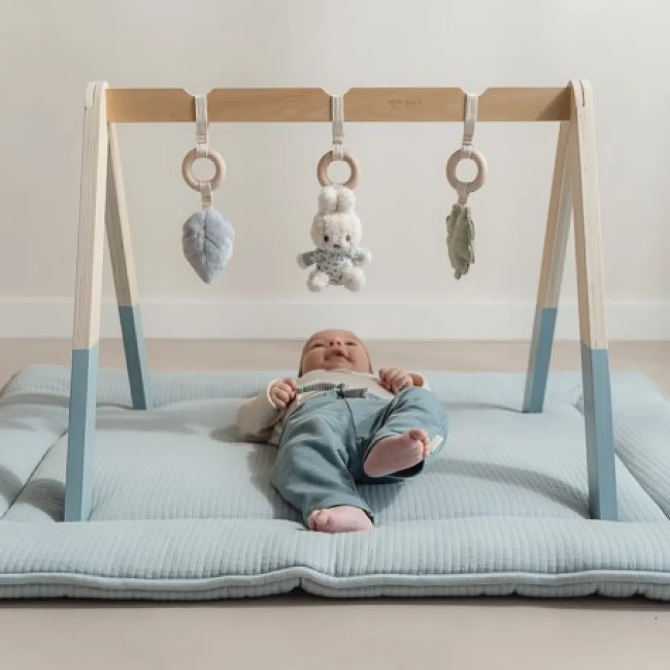 nijntje babygym - Blauw - Lucky Leaves