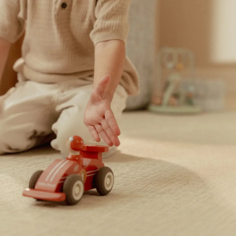 Pullback racewagens - Meerkleurig - Essentials