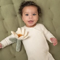 Rammelaar bloem Little Farm