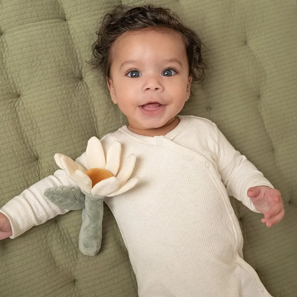 Rammelaar bloem Little Farm