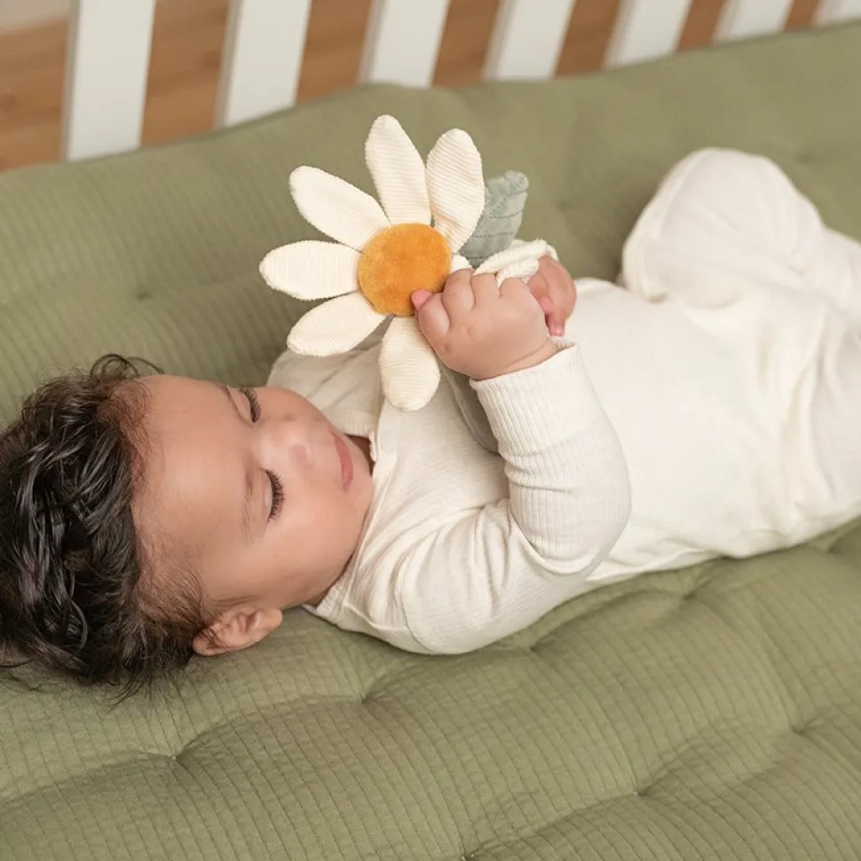 Rammelaar bloem Little Farm