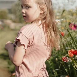 Shirt korte mouw - Roze - Fairy Garden