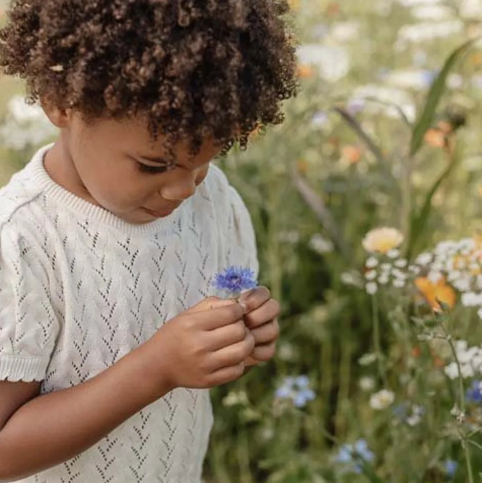 Trui - Wit - Fairy Garden