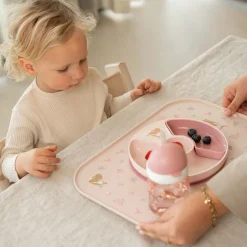 Vakjesbord Fairy Garden